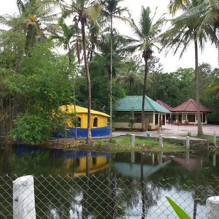 Coorg Anekad Jungle Stay Kushalanagar Bagian luar foto
