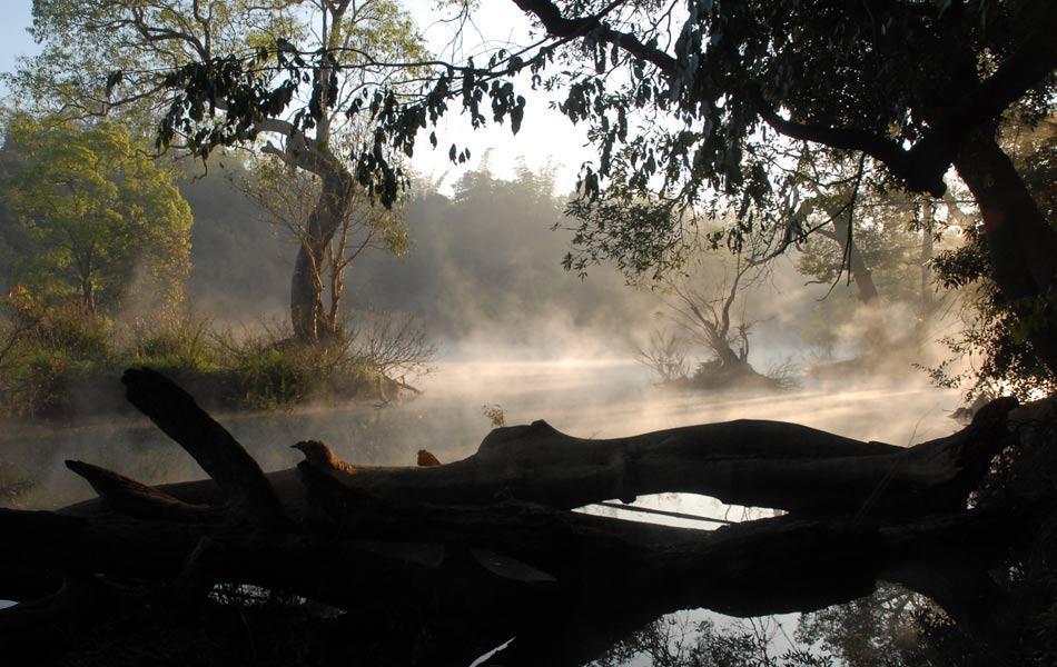 Coorg Anekad Jungle Stay Kushalanagar Bagian luar foto