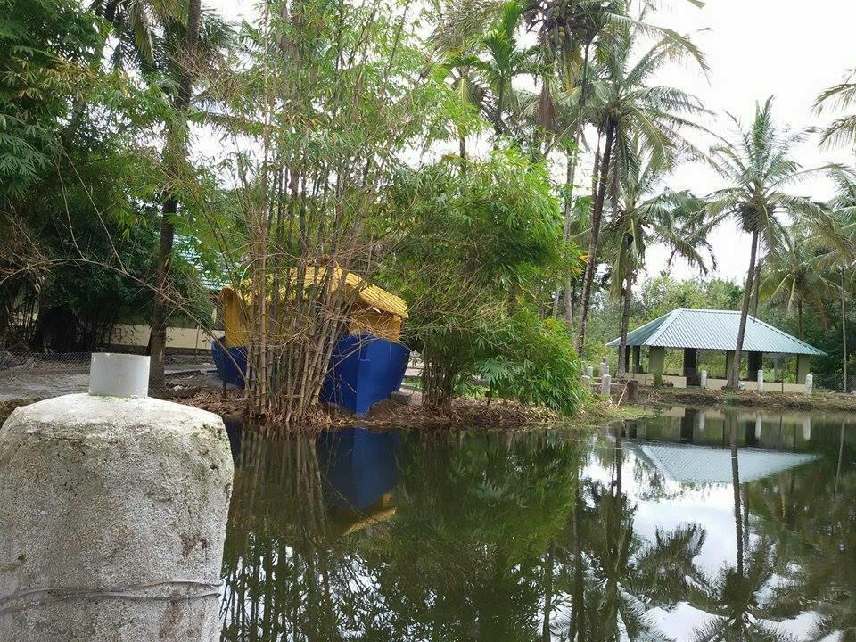 Coorg Anekad Jungle Stay Kushalanagar Bagian luar foto